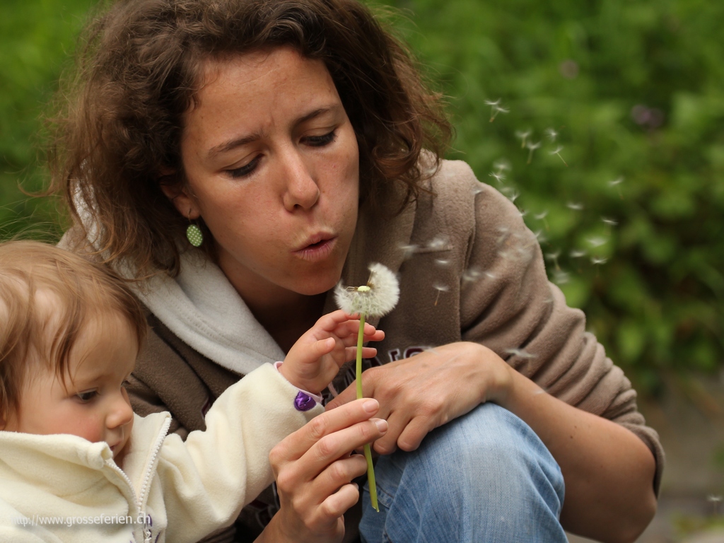 Belgium, Family, Flower