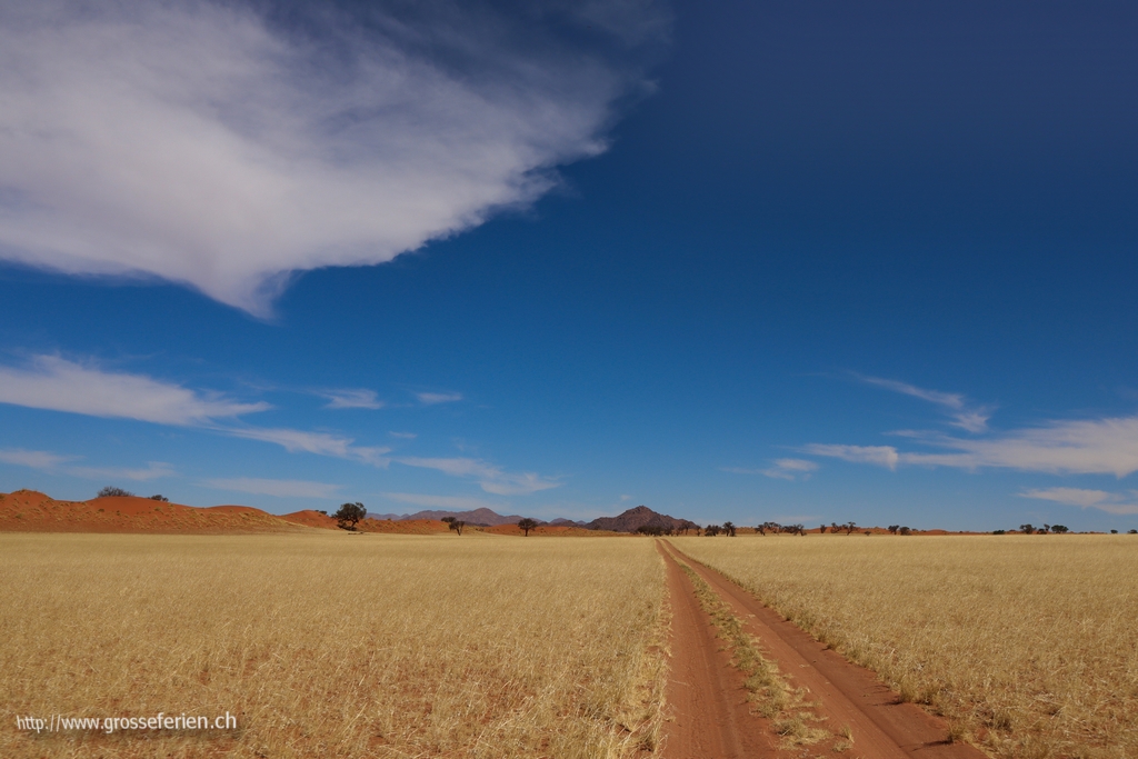 Namibia, Namib Rand, Dirt Road