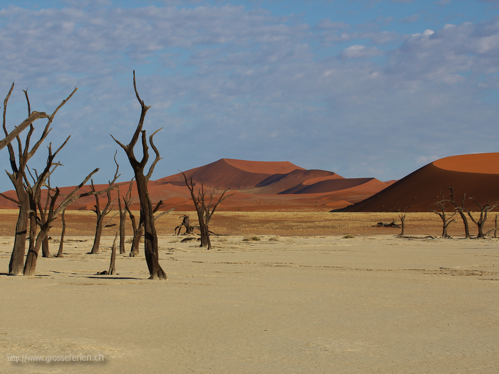  Namibia, Sesriem, Vlei
