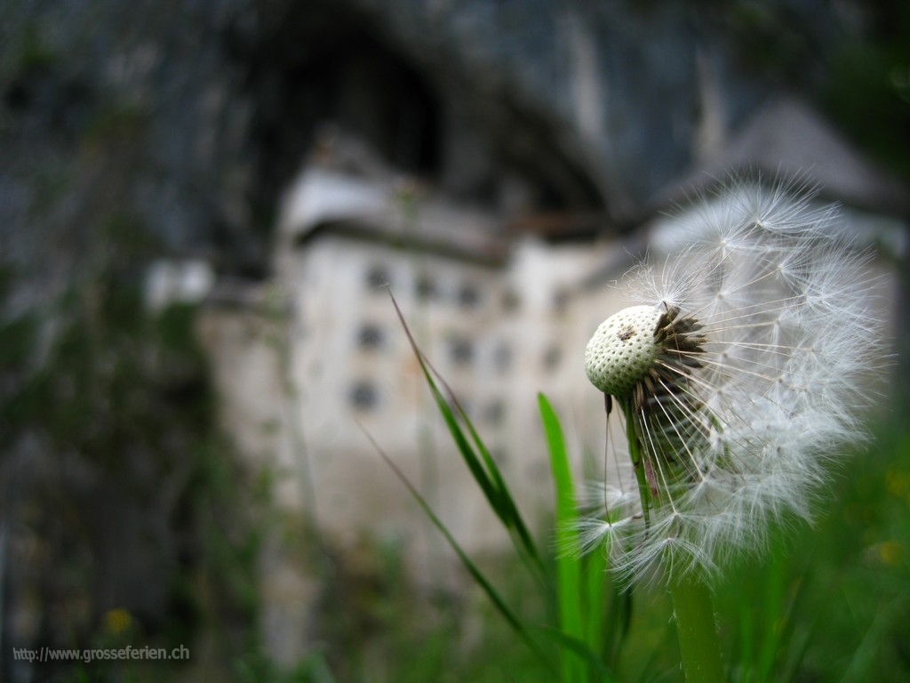 Slovenia, Predjama, Castle