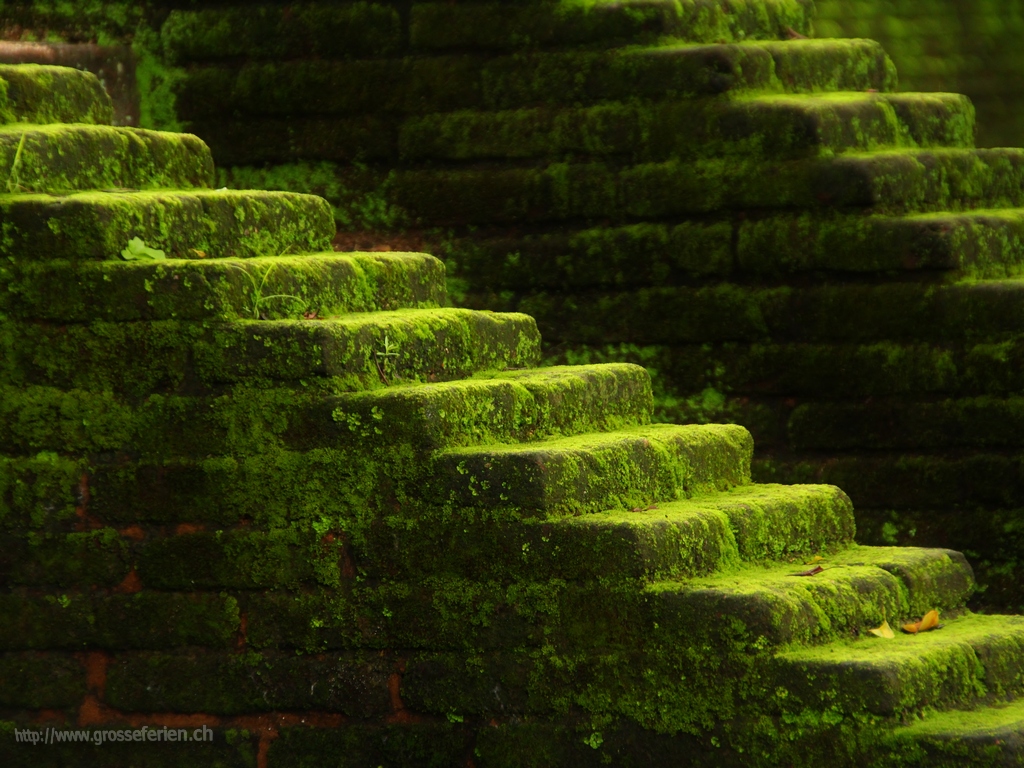  Sri Lanka, Polonnaruwa, Stair