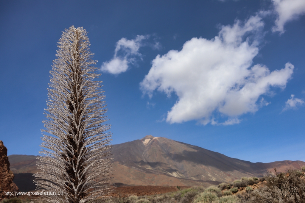 Tenerife, Teide National Park Tenerife, Teide National Park