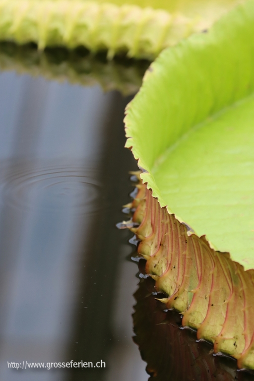 United Kingdom & Ireland, Royal Botanic Gardens