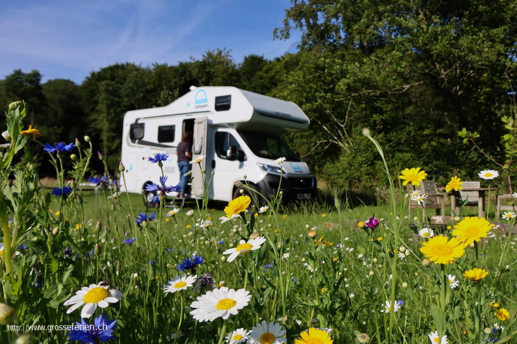 United Kingdom & Ireland, Wytch Wood Camping